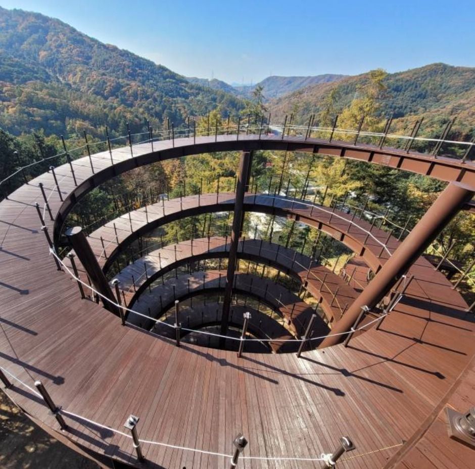 실외_트리탑 데크로드 (1)