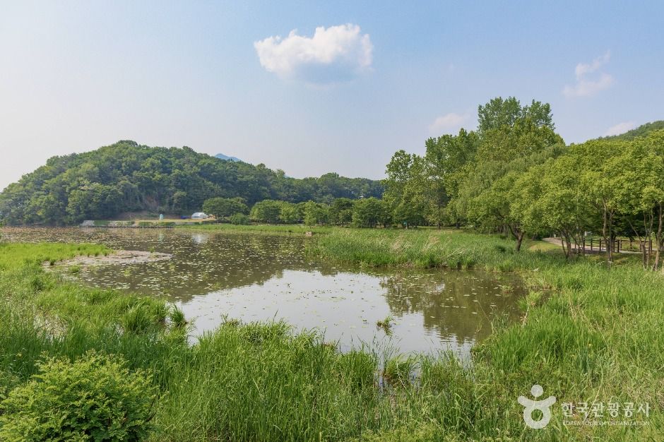 남양주_다산생태공원 (4)