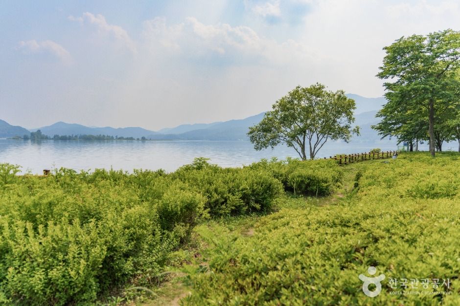 남양주_다산생태공원 (1)