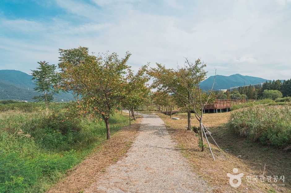 하남_당정뜰(팔당팔화수변공원) (4)