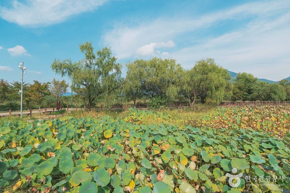 하남_당정뜰(팔당팔화수변공원) (5)