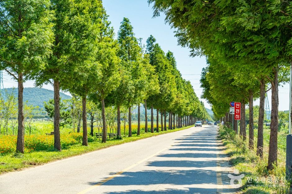 안산_대부바다향기테마파크 (4)