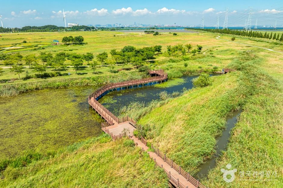 안산_대부바다향기테마파크 (5)