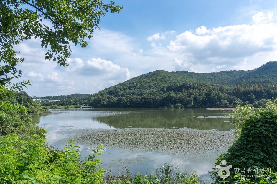 성남_대왕저수지 (2)