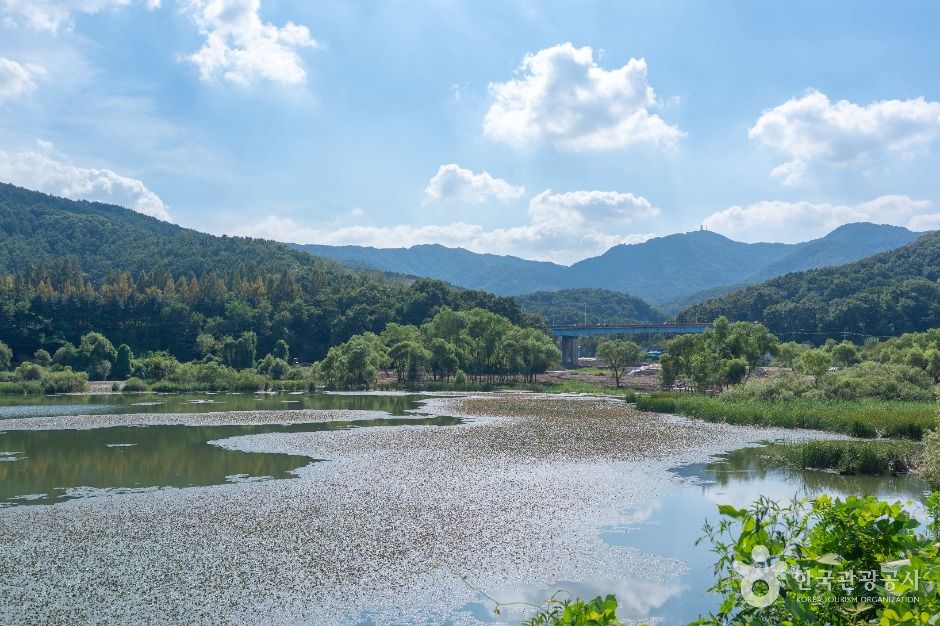 성남_대왕저수지 (3)
