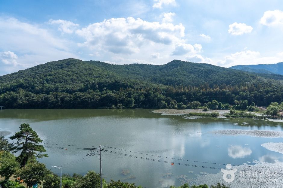 성남_대왕저수지 (4)