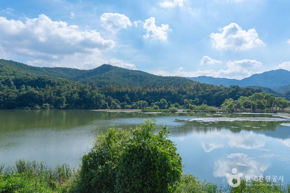 성남_대왕저수지 (5)