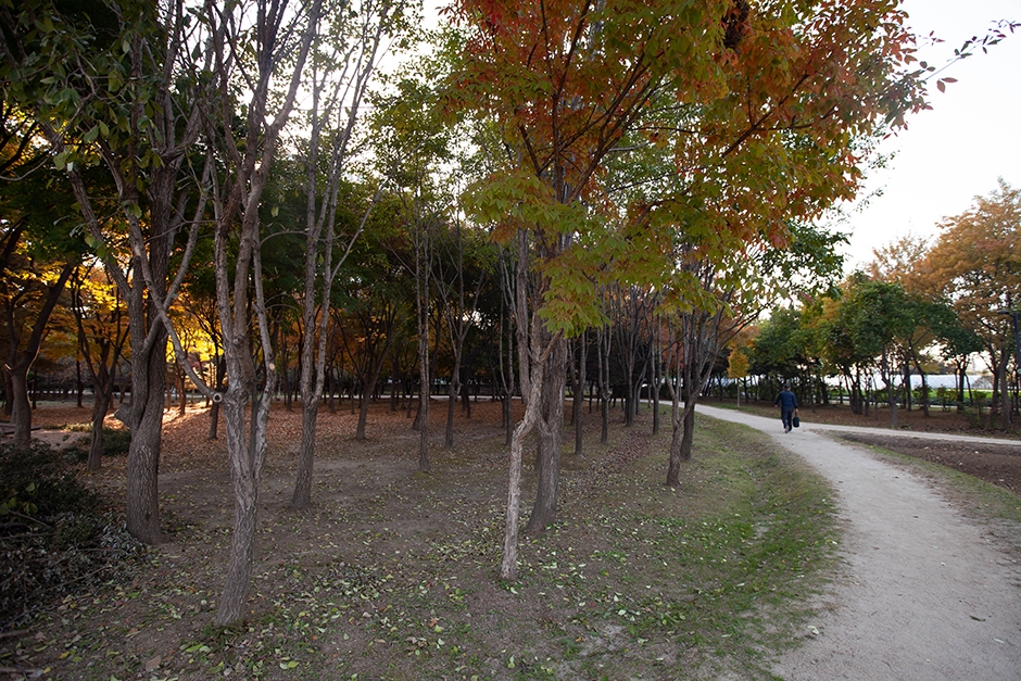 경기도_고양시_대화농업체험공원_산책로