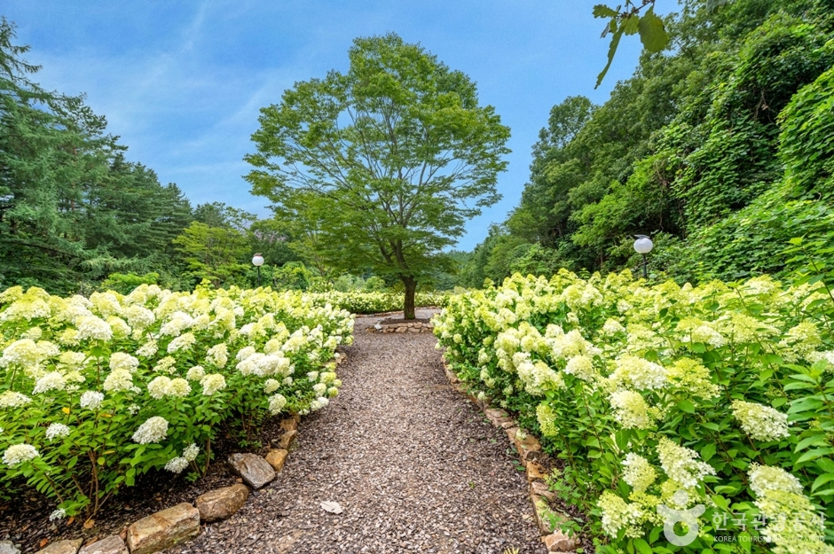 경기_가평_더스테이힐링파크 (9)