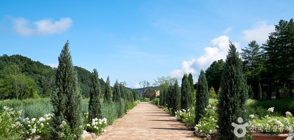경기_가평_더스테이힐링파크 (13)