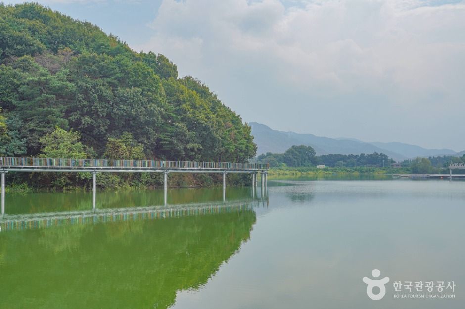 안성_덕산저수지 (5)