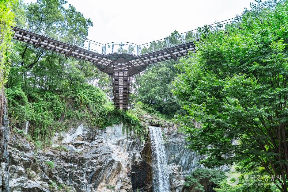 도덕산 출렁다리