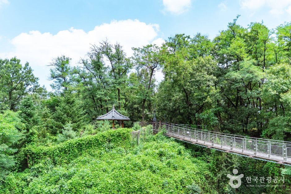 광명_도덕산 출렁다리 (2)