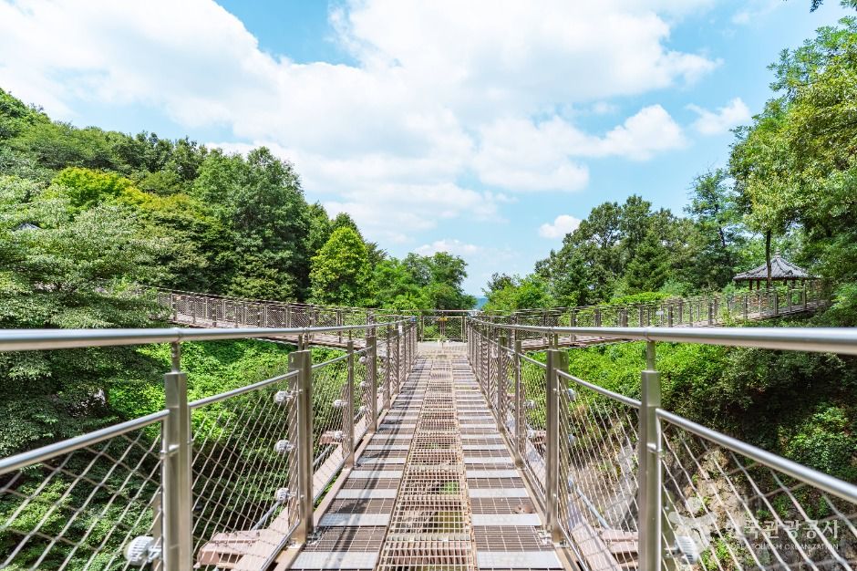 광명_도덕산 출렁다리 (5)