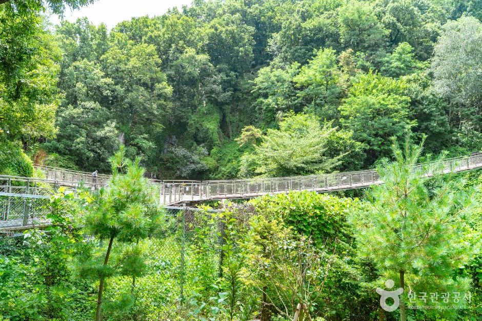 광명_도덕산 출렁다리 (3)