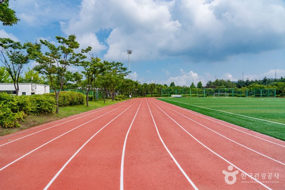 화성_도원체육공원 (2)