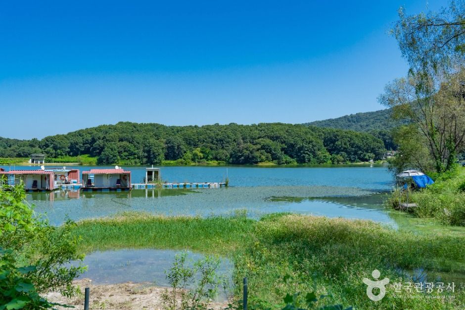 용인_두창저수지 (3)
