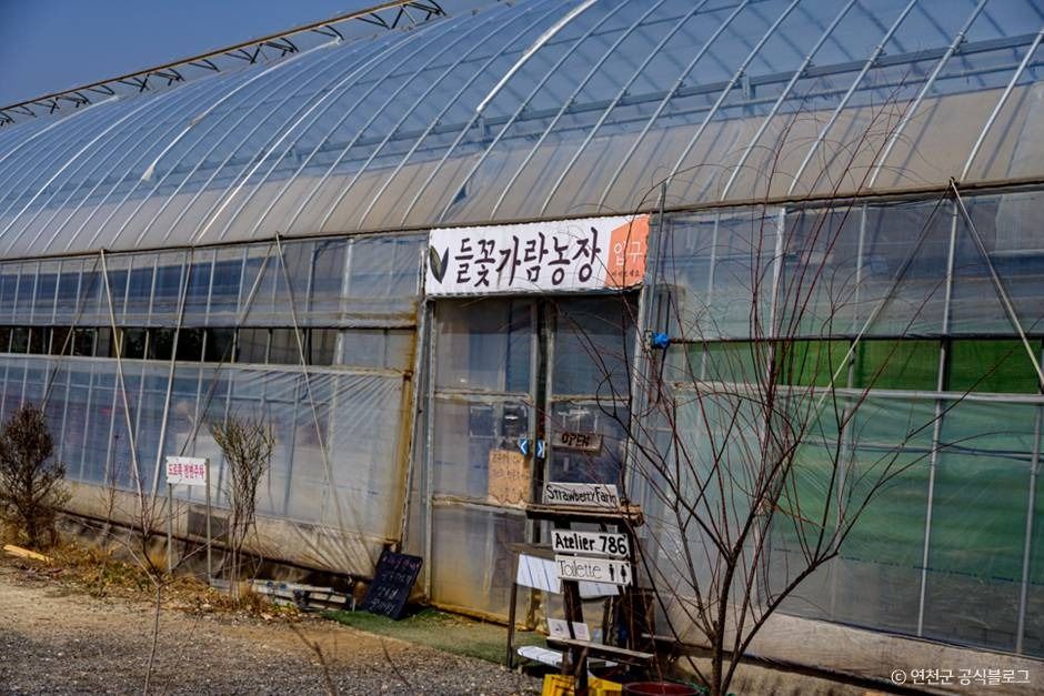 연천_들꽃가람농장 (1) ⓒ 연천군 공식블로그