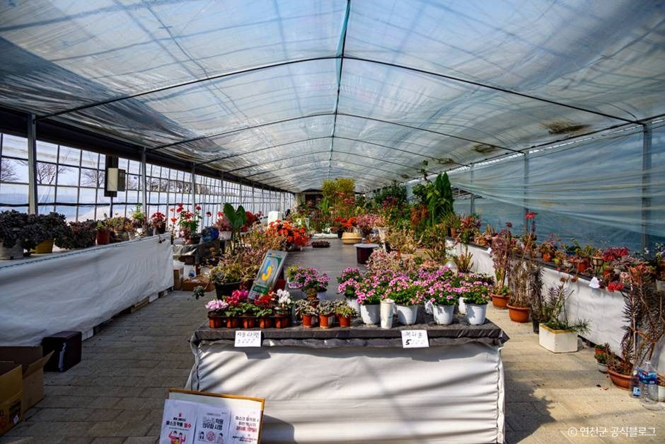 연천_들꽃가람농장 (2) ⓒ 연천군 공식블로그