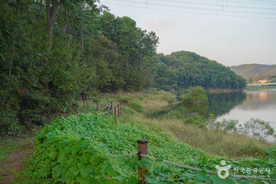 안성_마둔저수지 (2)