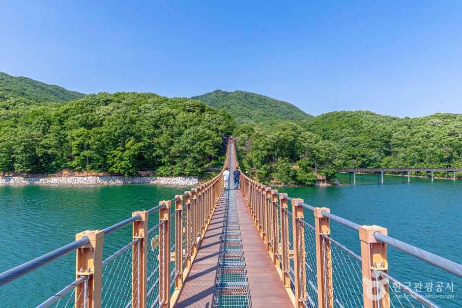 마장호수 출렁다리