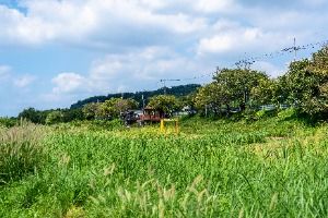 탄천민물고기습지생태원