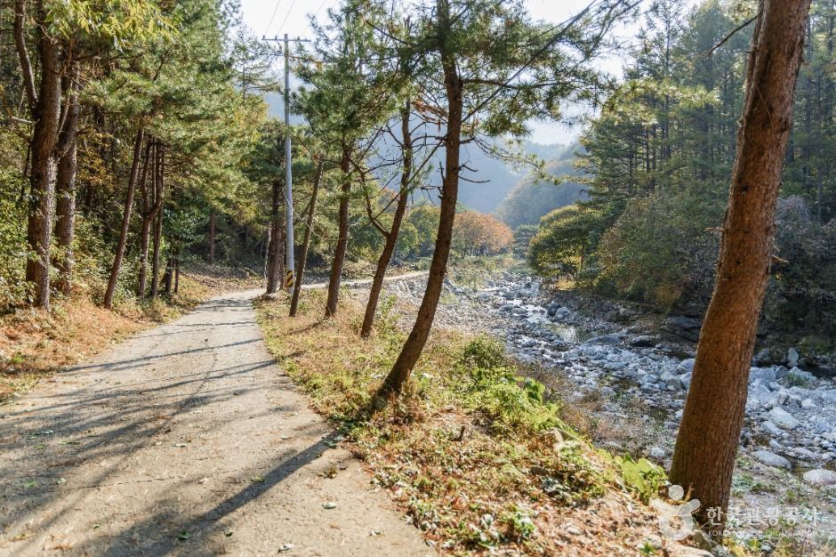 가평_명지계곡 (4)