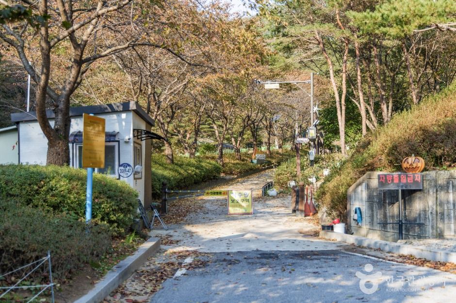 가평_명지계곡 (7)