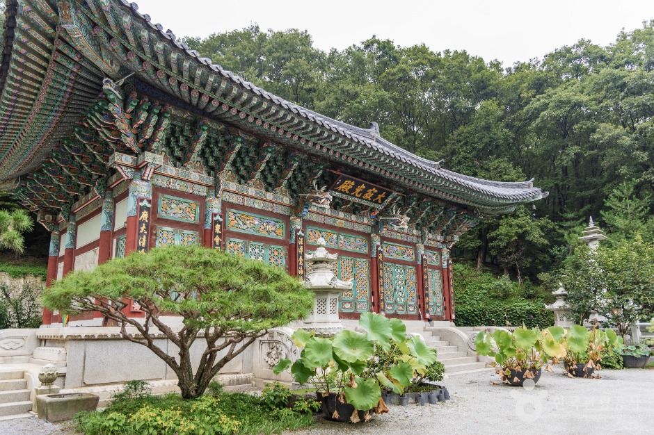 용인_미륵사(용인) (5)