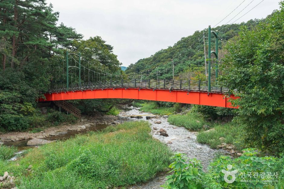 동두천_배꼽다리 (2)