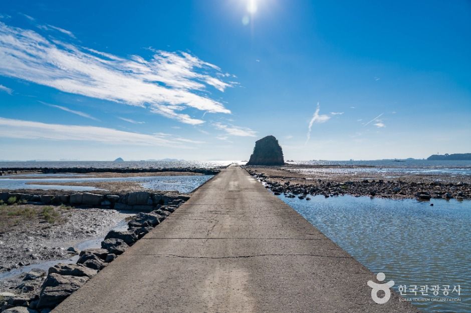 화성_백미리갯벌체험장 (5)