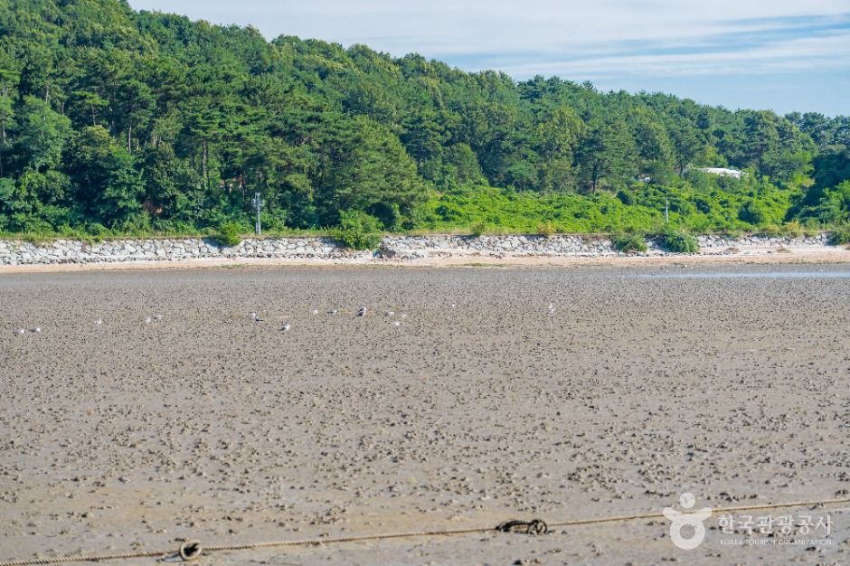 화성_백미리갯벌체험장 (1)