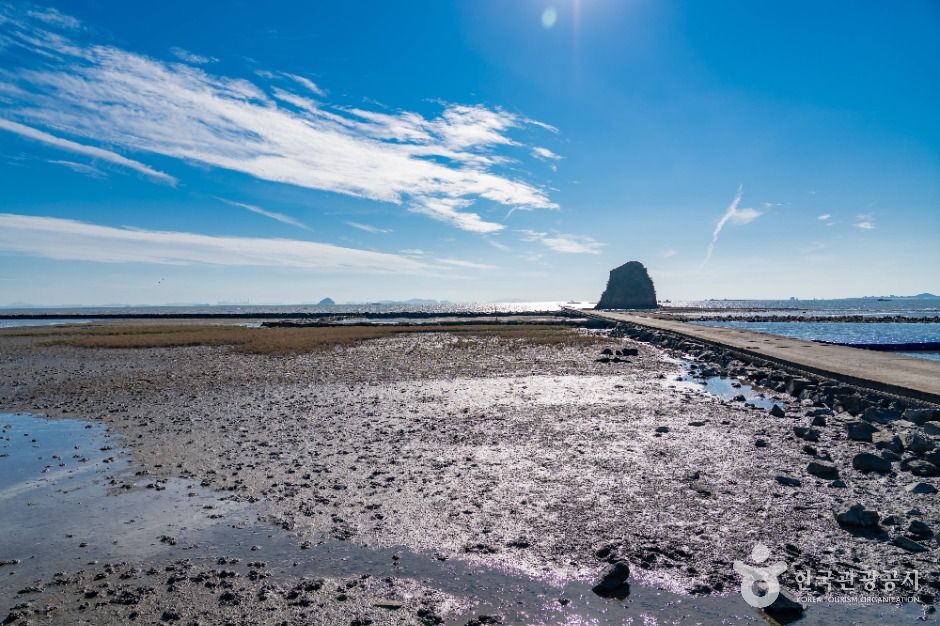화성_백미리갯벌체험장 (2)