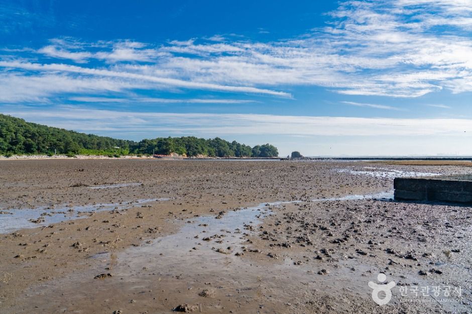 화성_백미리갯벌체험장 (3)