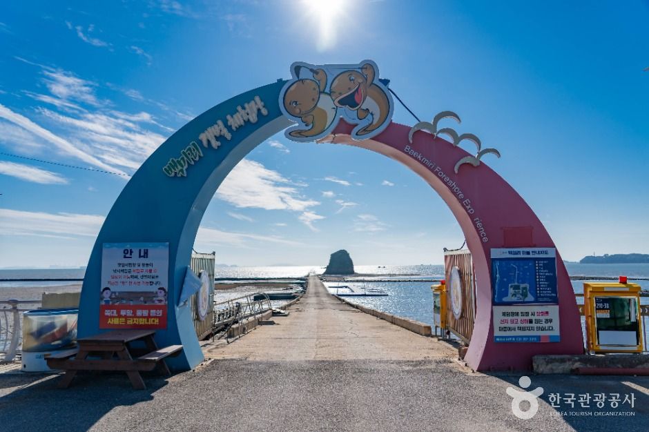 백미리갯벌체험장