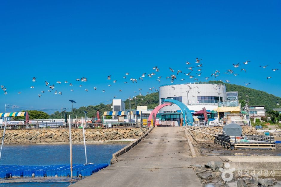 화성_백미리갯벌체험장 (8)