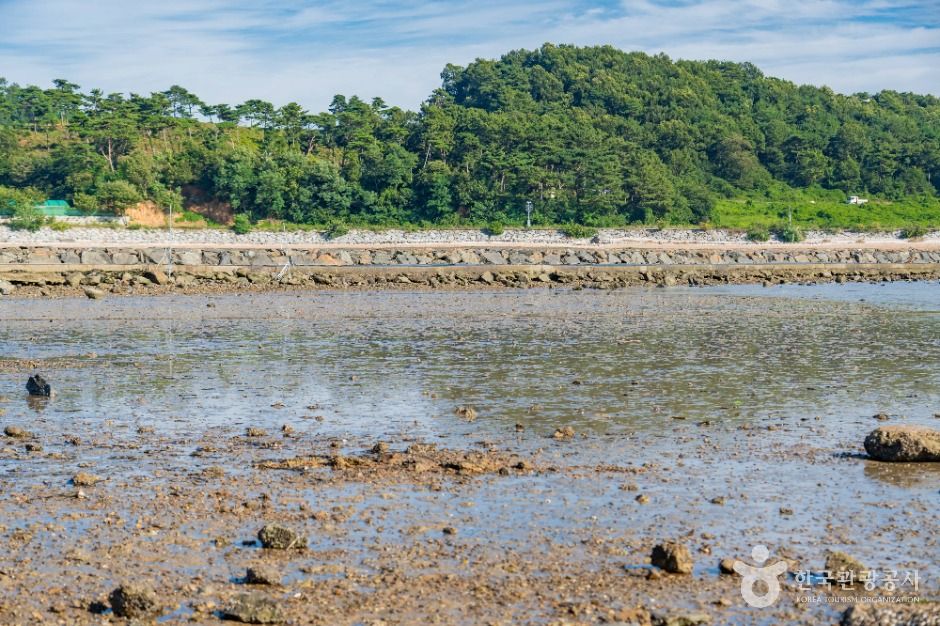 화성_백미리갯벌체험장 (9)