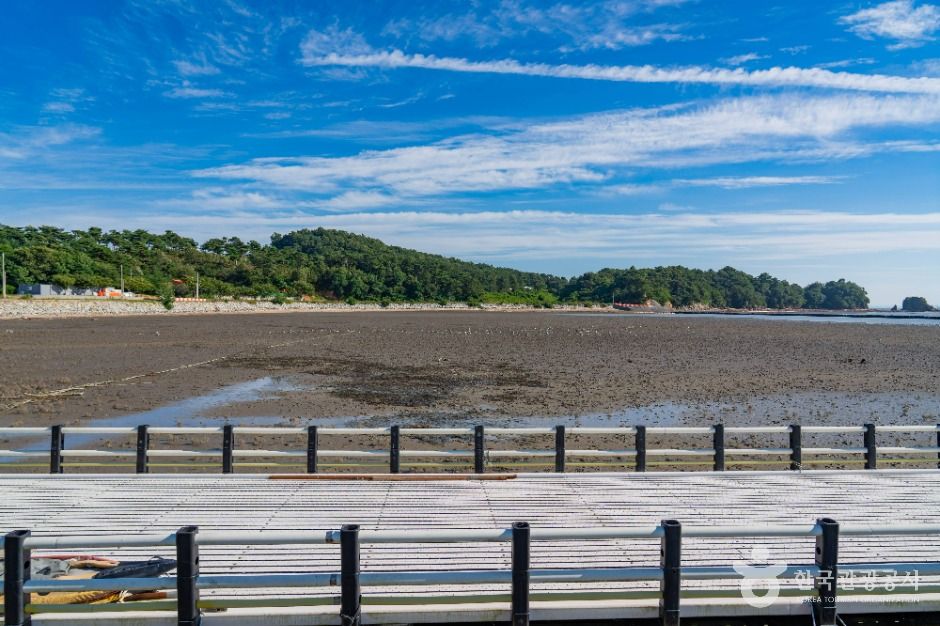 화성_백미항 (3)