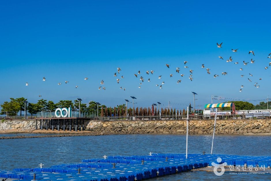 화성_백미항 (4)