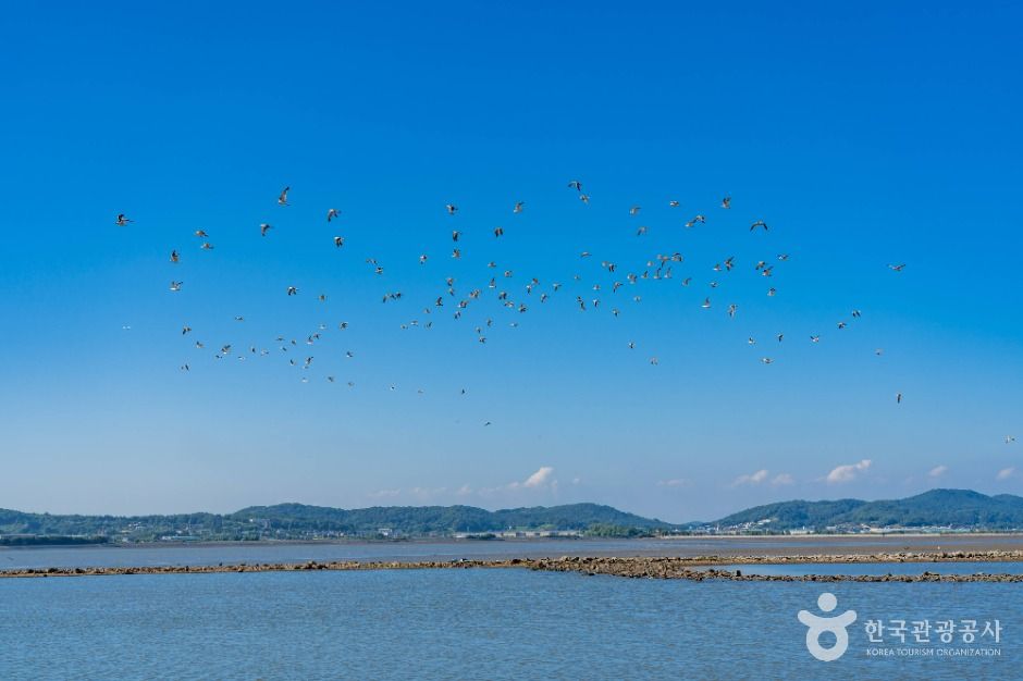 화성_백미항 (5)