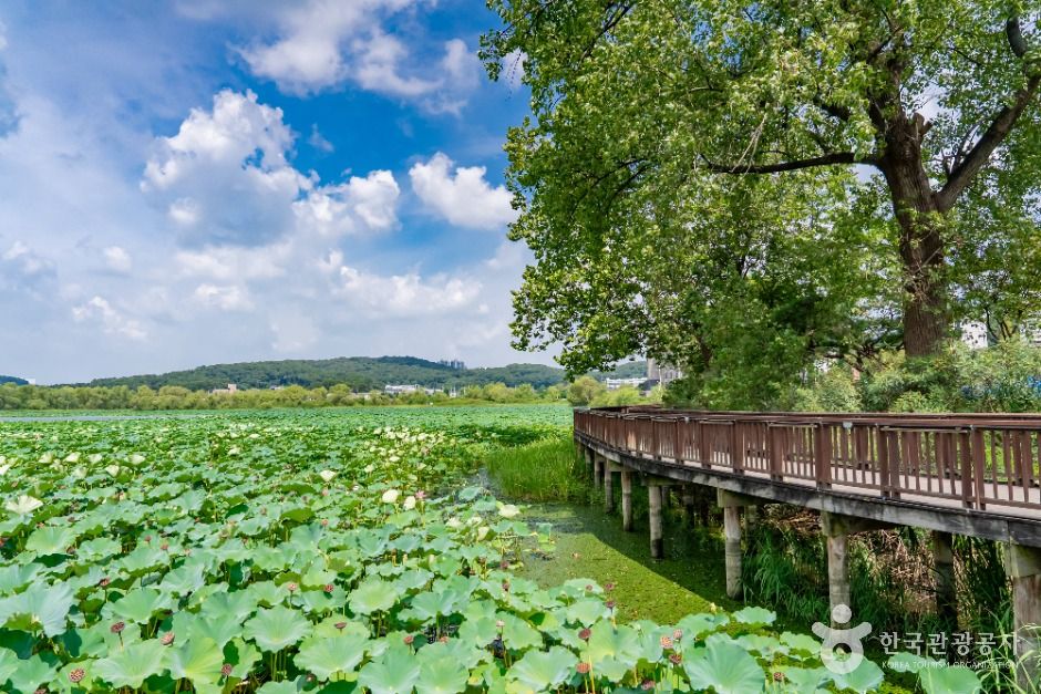 화성_보통리저수지 (2)