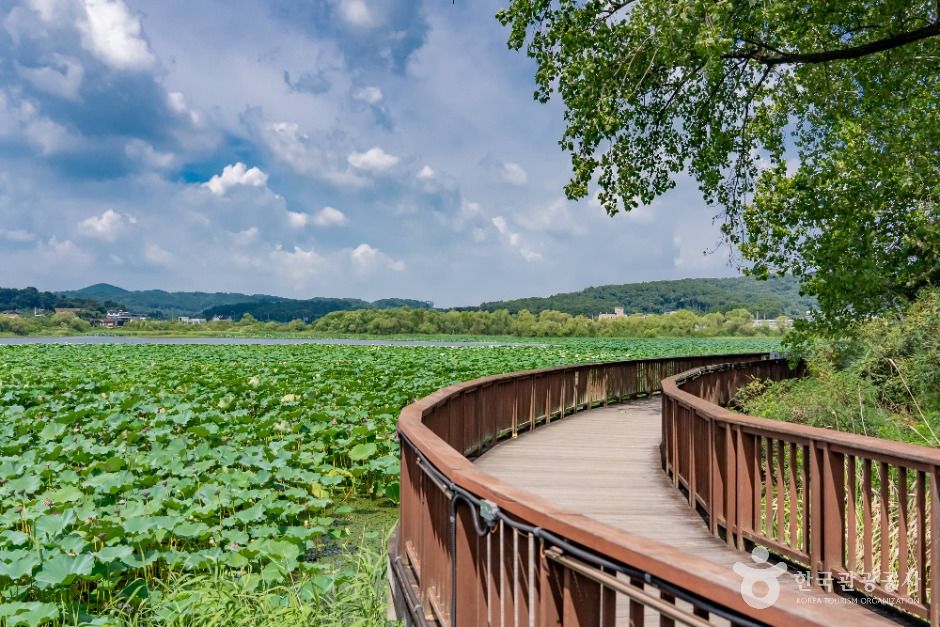 화성_보통리저수지 (3)