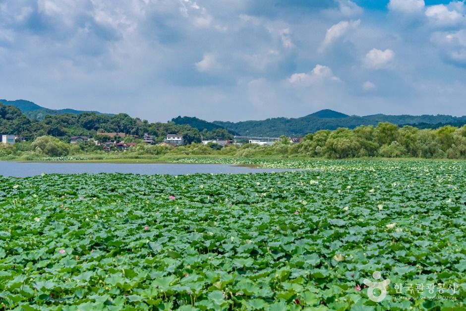 화성_보통리저수지 (4)