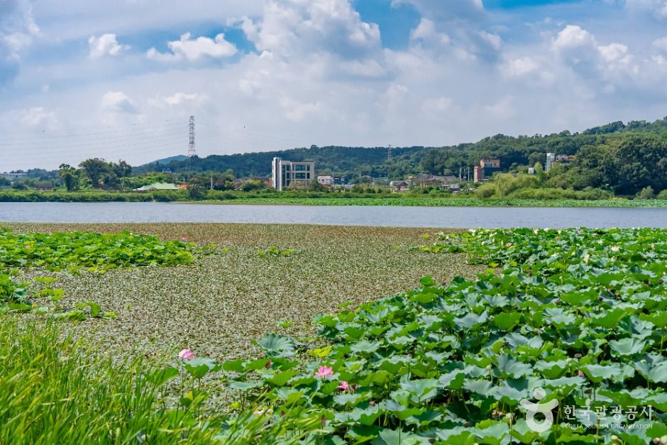 화성_보통리저수지 (6)