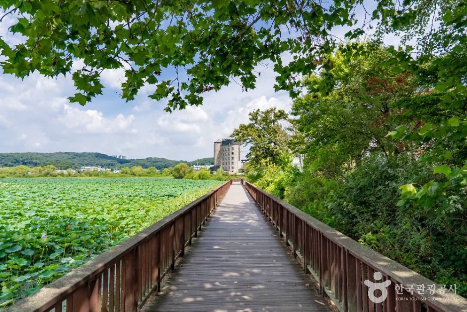 화성_보통리저수지 (7)