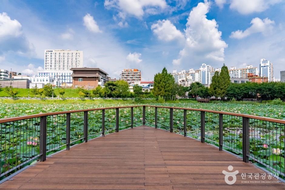 화성_봉담 호수공원 (6)