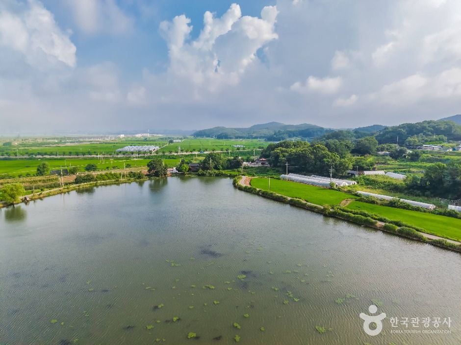 화성_분지섬저수지 (4)