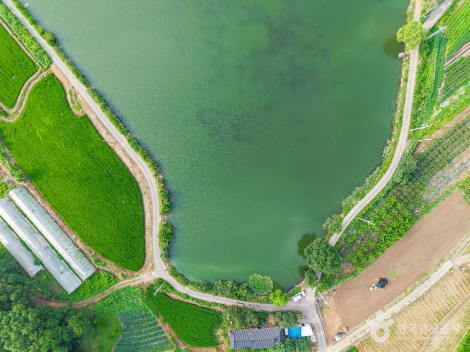 화성_분지섬저수지 (2)