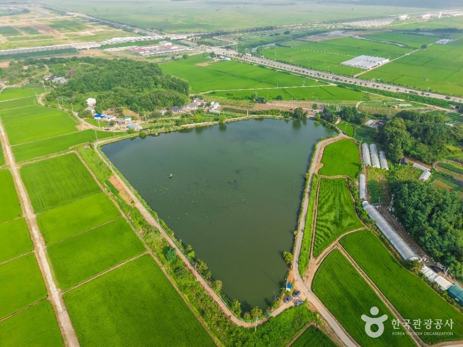 화성_분지섬저수지 (7)