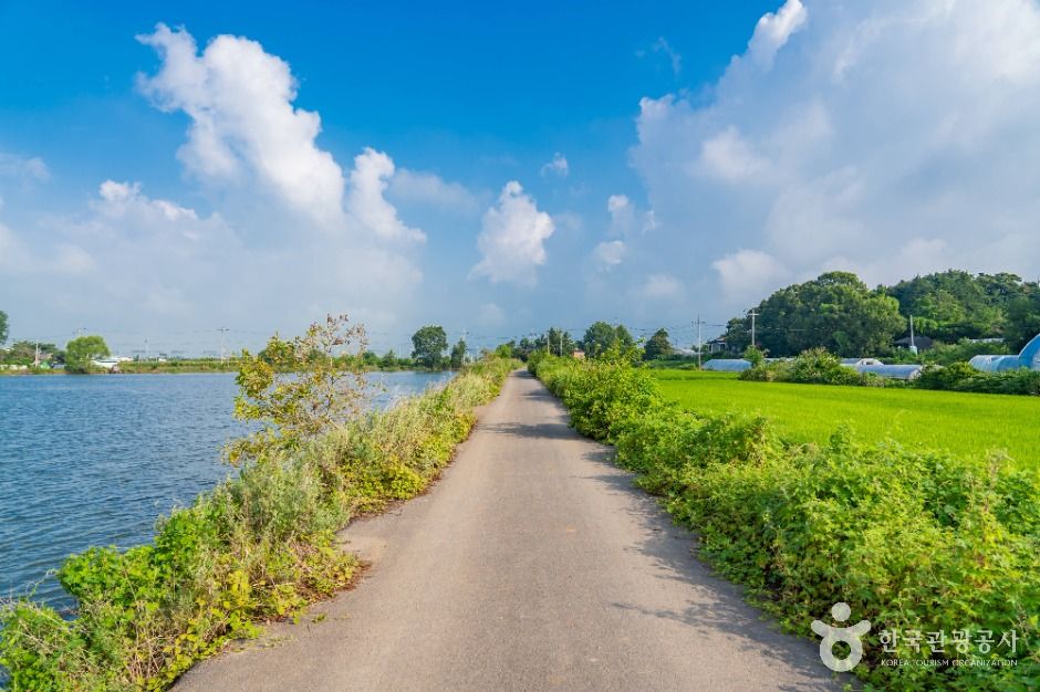 화성_분지섬저수지 (5)